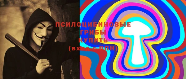 прущие грибы Алексин
