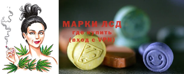 шишки Осинники