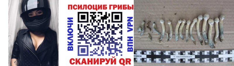 Галлюциногенные грибы мухоморы  MEGA маркетплейс  Талдом  купить наркоту 